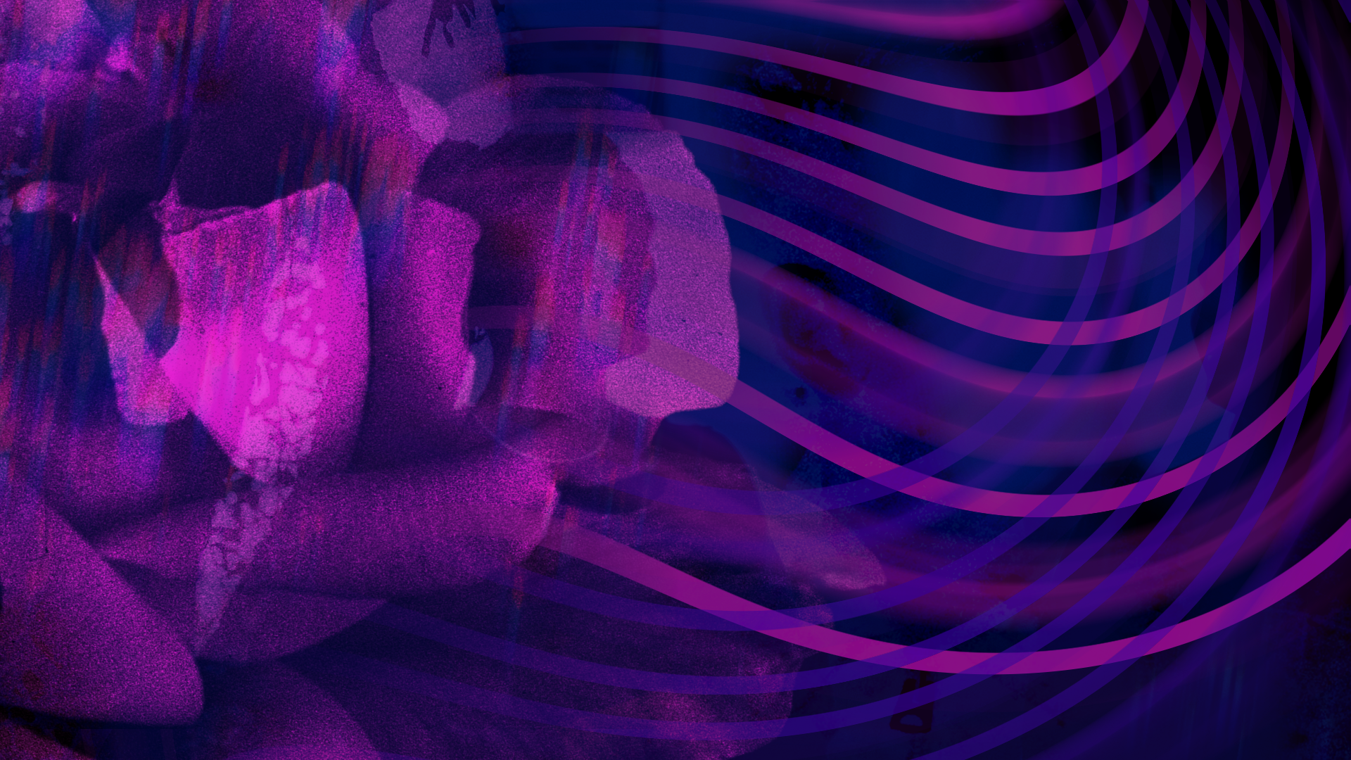 Abstract digital artwork featuring fluid, swirling shapes and flowers in shades of pink and purple, symbolising artificial intelligence in Columbia Road's brand style. 